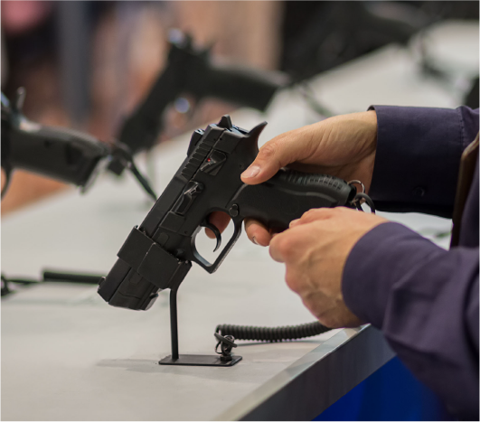 gun-rights